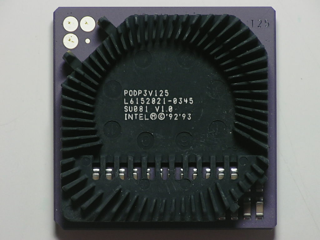 SU081.jpg