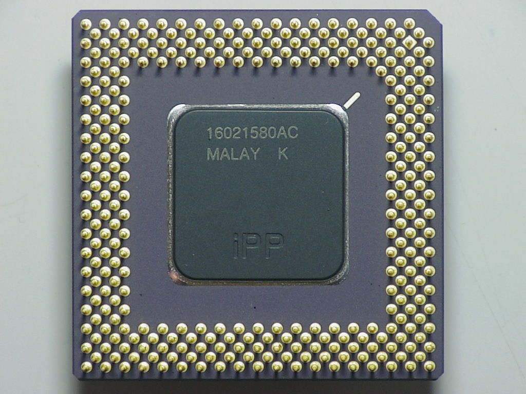 SU081b.jpg