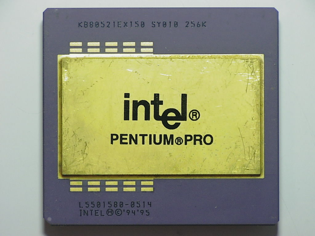 SY010 L5501580.jpg