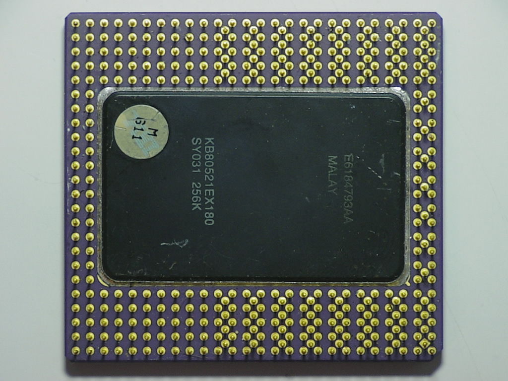 SY031 L6434615b.jpg
