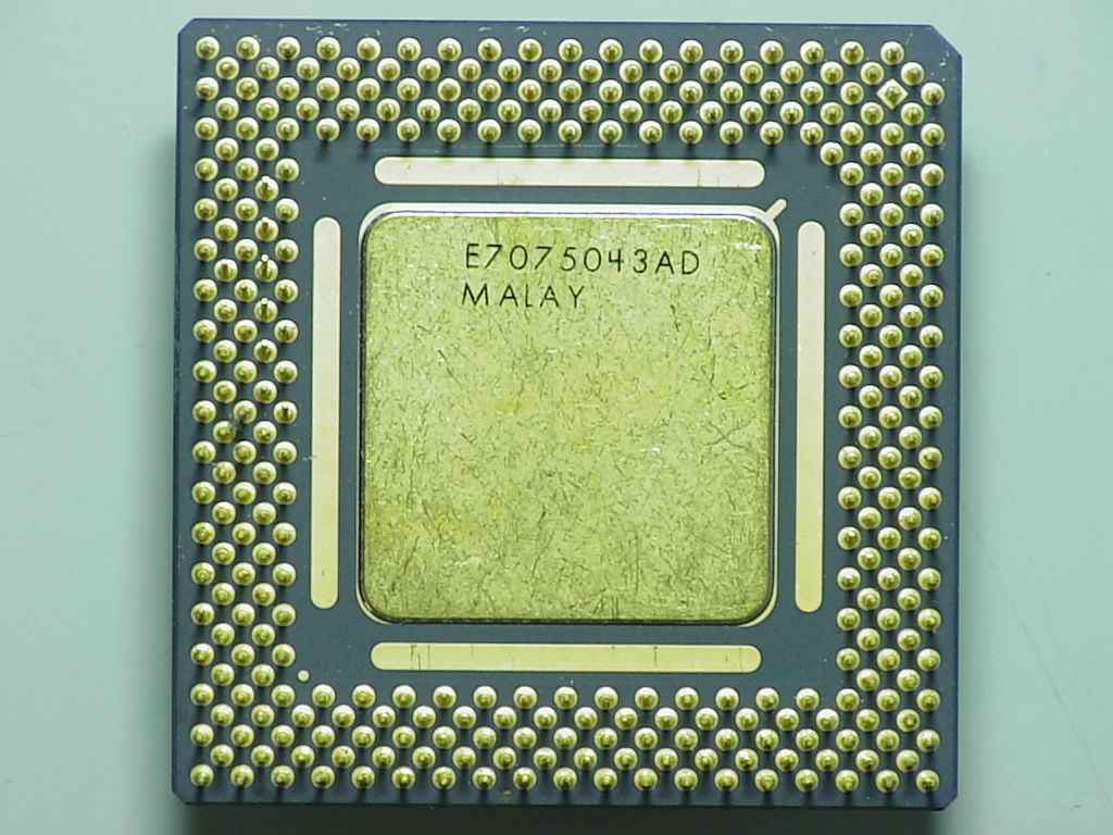 SL24W_1.1b.jpg