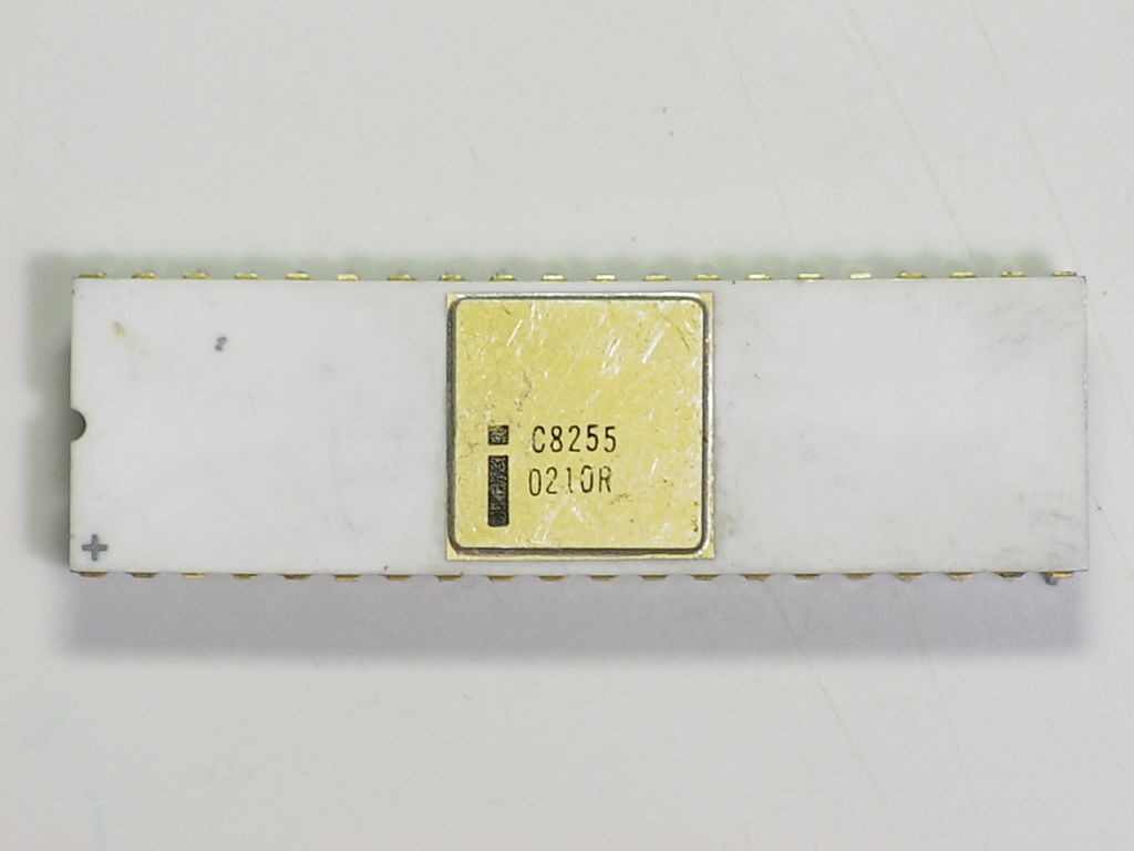 C8255.jpg