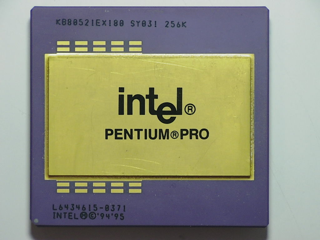 SY031 L6434615.jpg