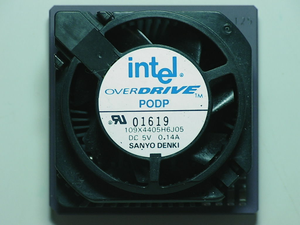 SU081f.jpg