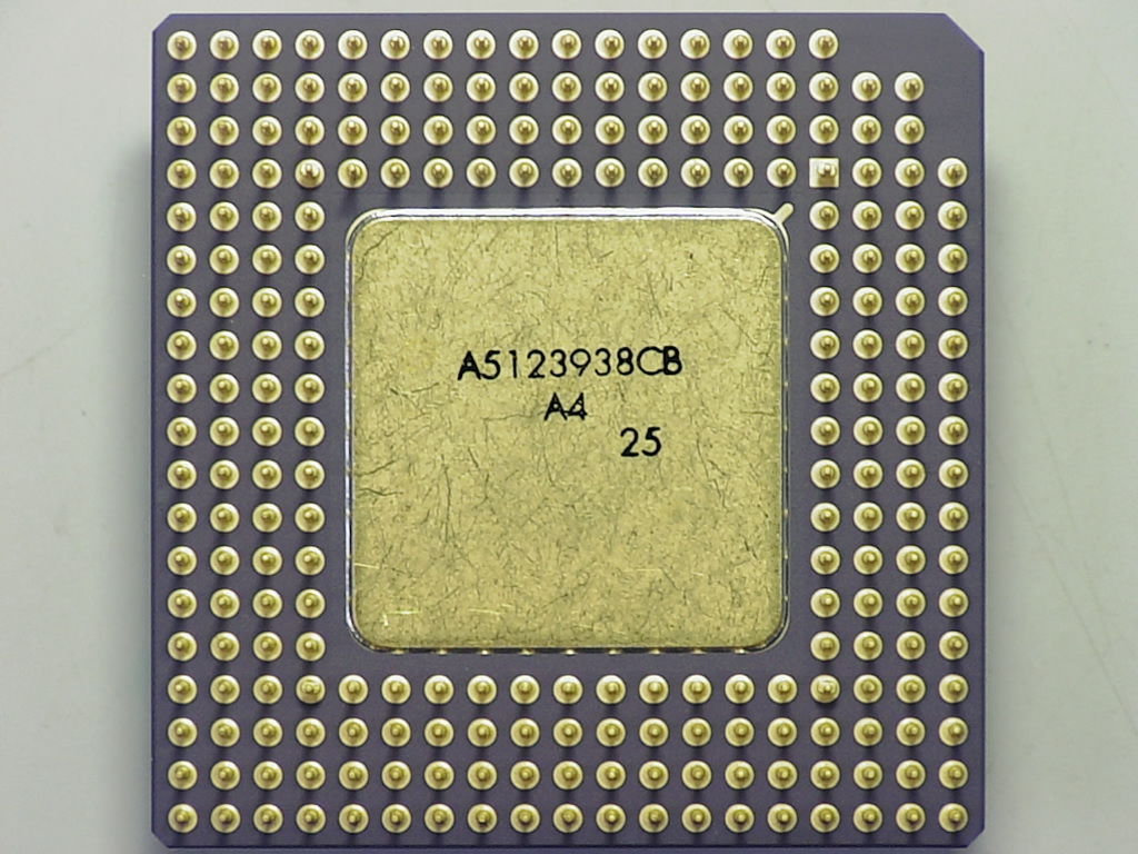 Q081b.jpg