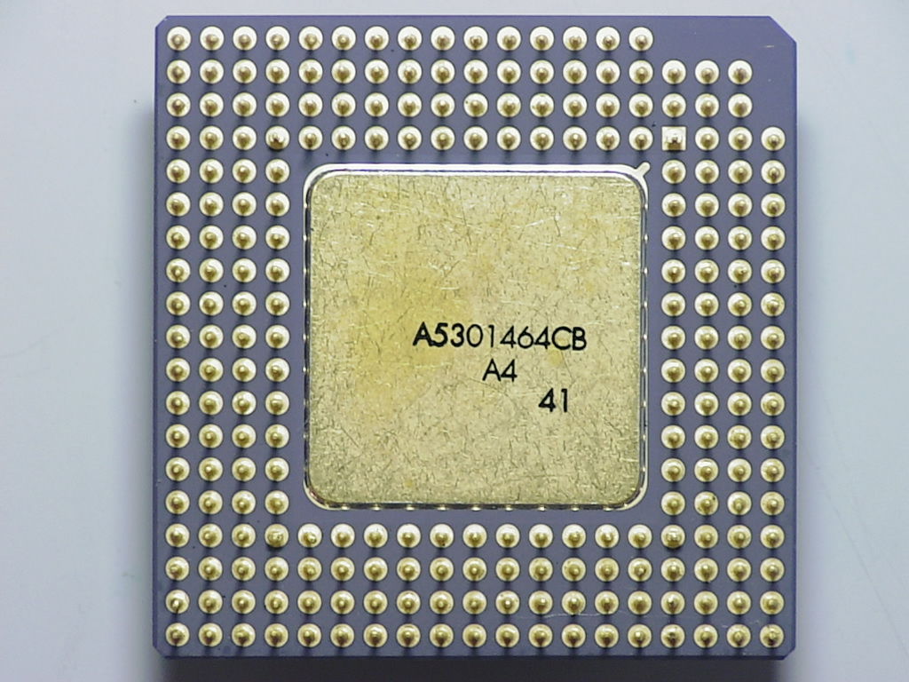 SU013b.jpg