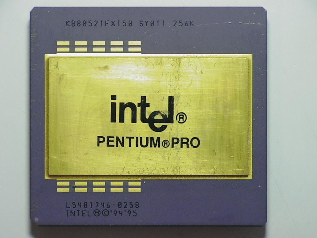 SY011 L5481746.jpg