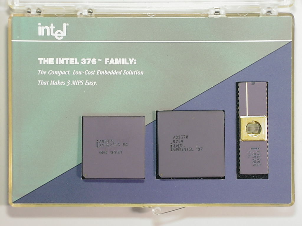 80376 Family ES.jpg
