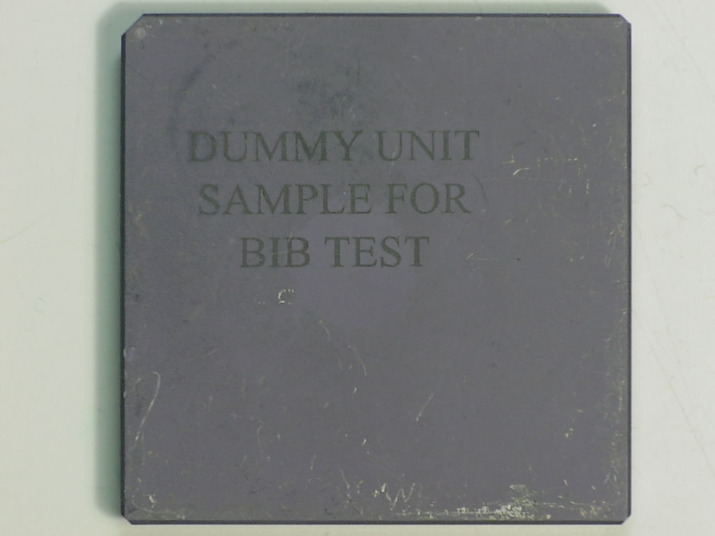DUMMY UNIT FOR BIB TEST.jpg