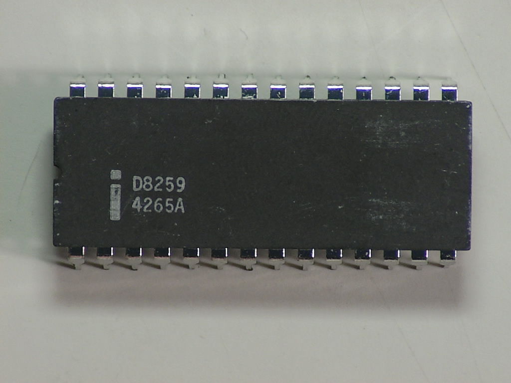 D8259.jpg