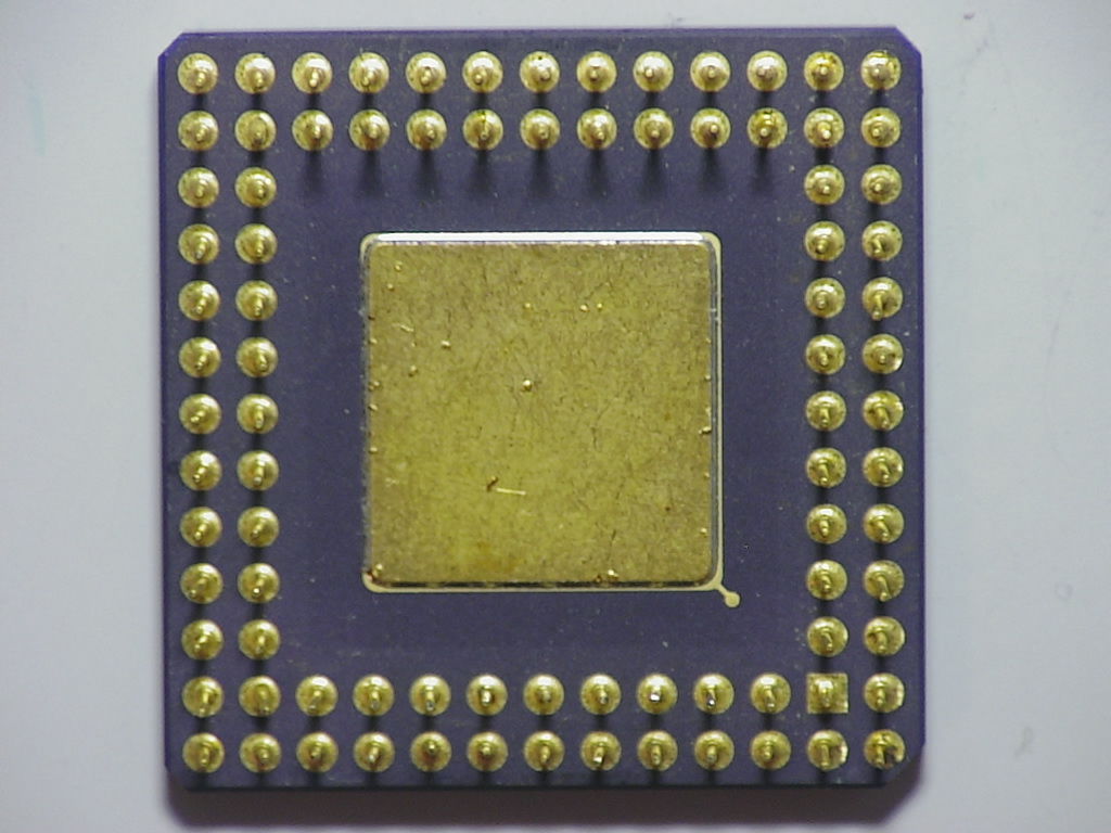 A8037616 Whiteb.jpg