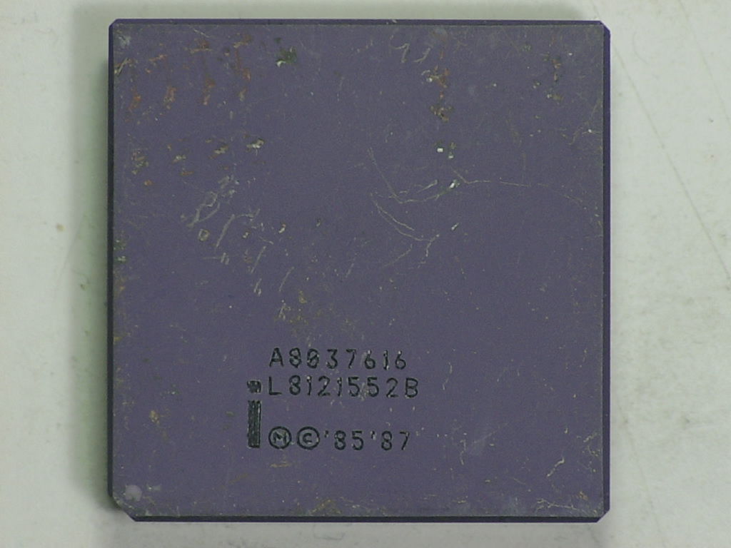 A8037616.jpg