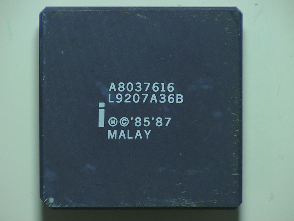 A8037616 White.jpg