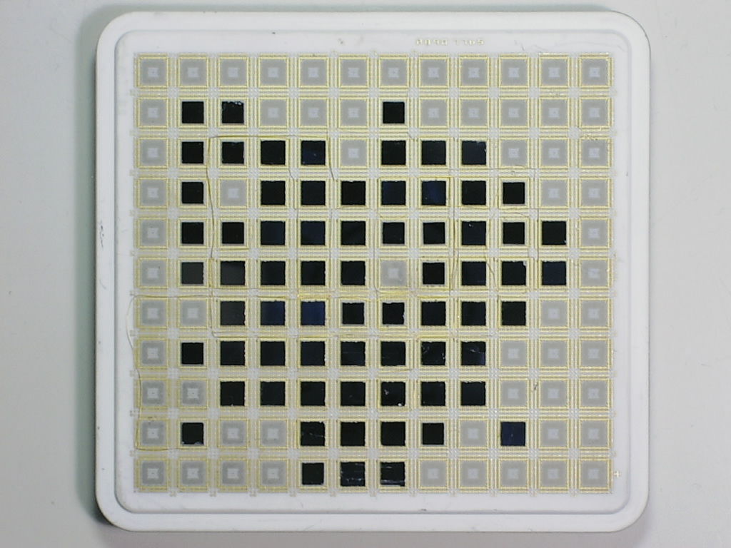 3090 A8907765.jpg