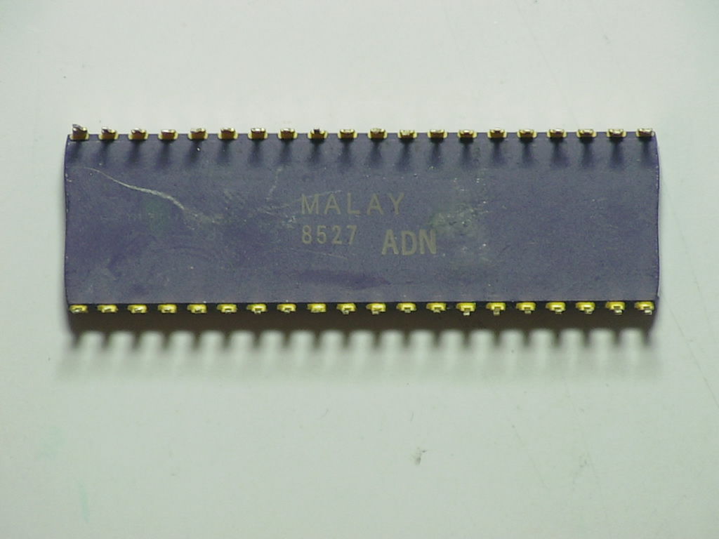 C8087-2 8527 MALAYb.jpg