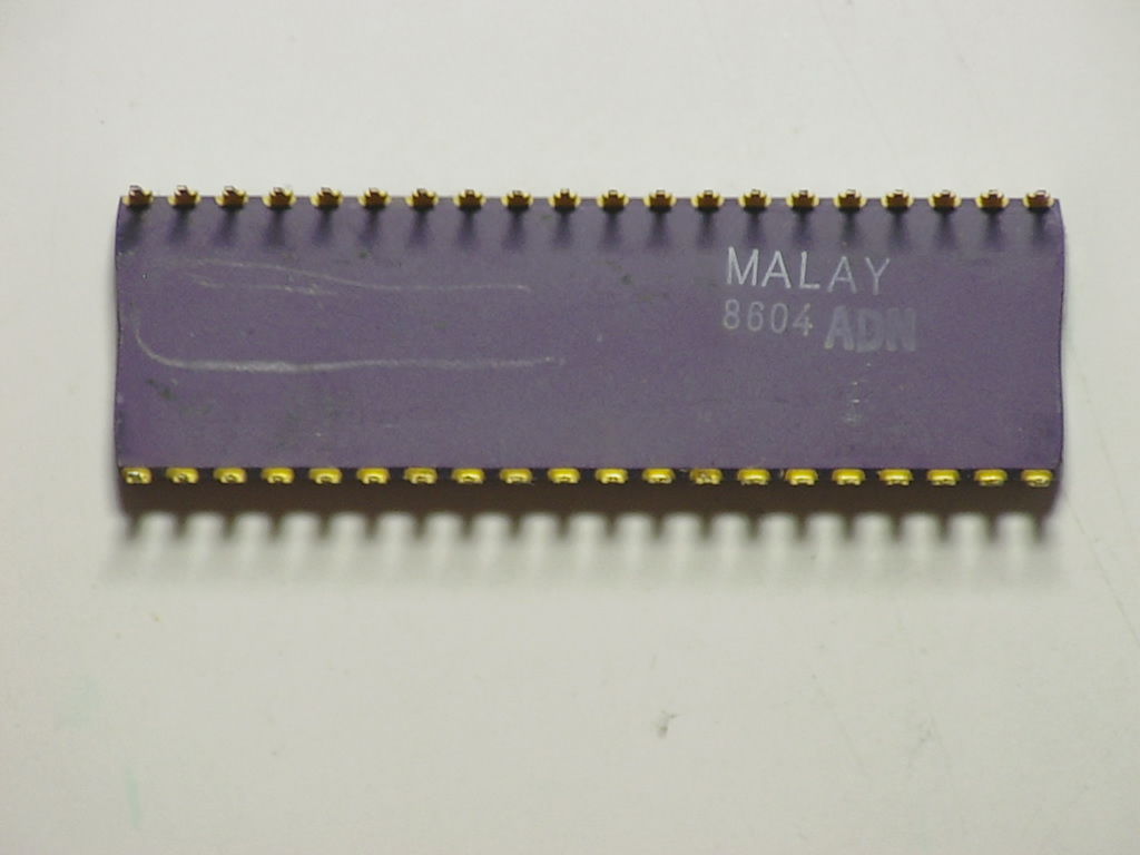 C8087 8604 MALAYb.jpg
