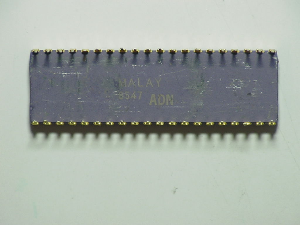 C8087-1 8547 MALAYb.jpg