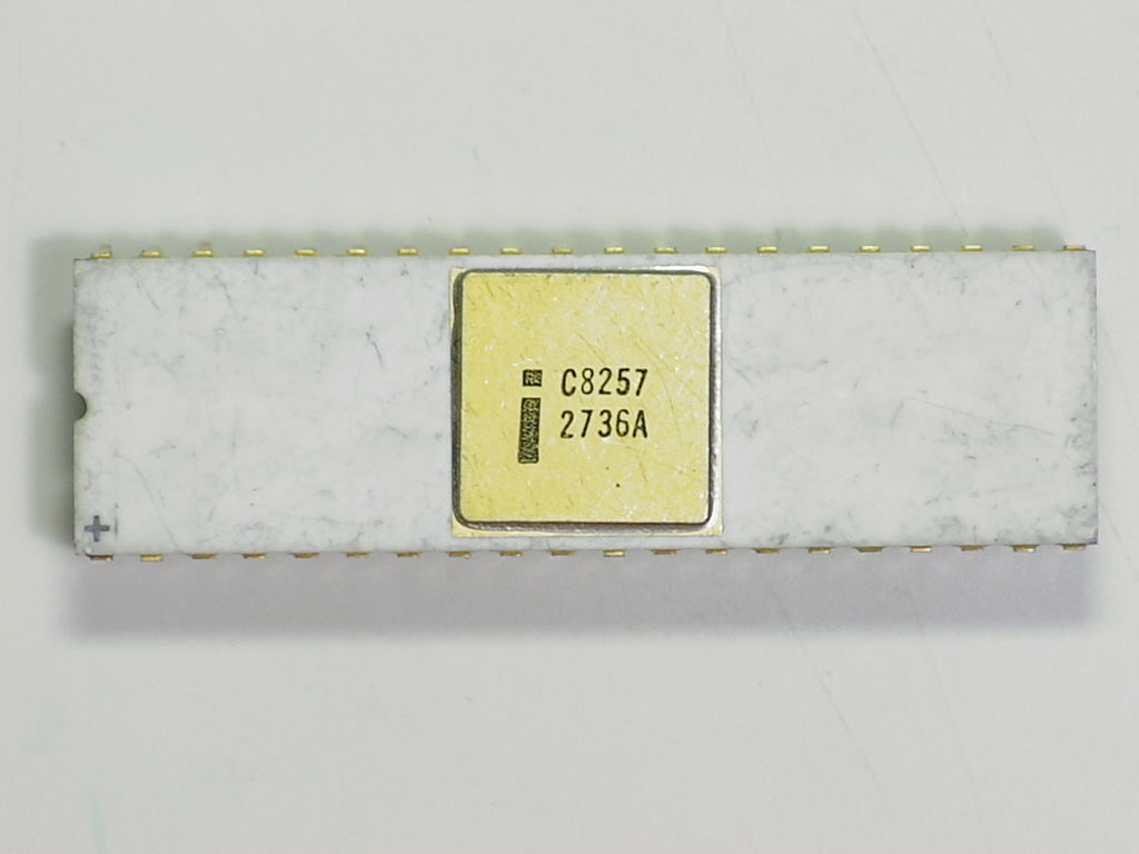 C8257.jpg