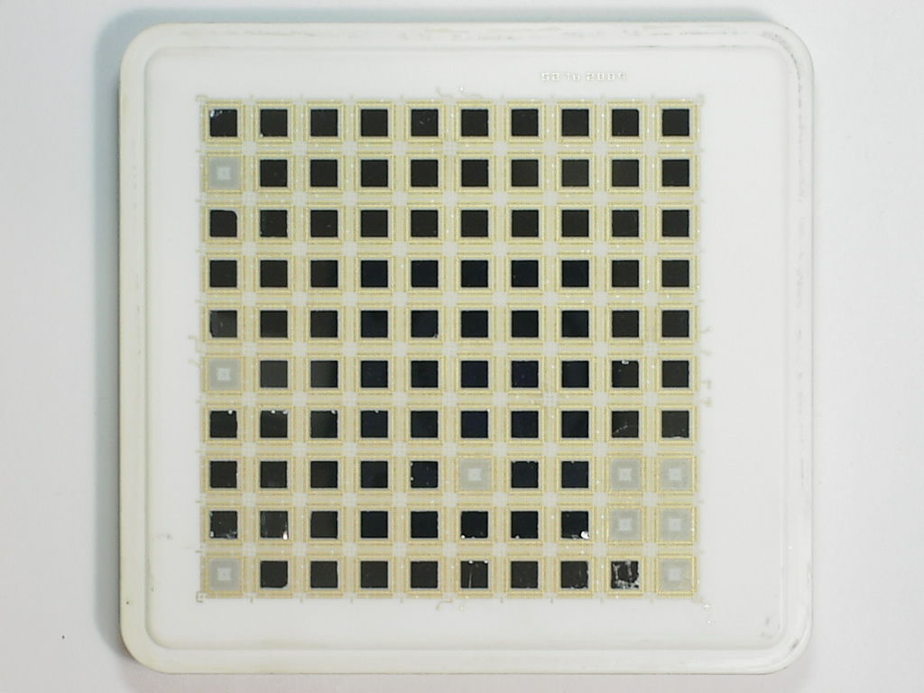 5276 2889.jpg